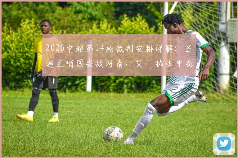 2026中超第14轮裁判安排详解：王迪主哨国安战河南，艾堃执法申花对阵深圳，关键场次选派引关注